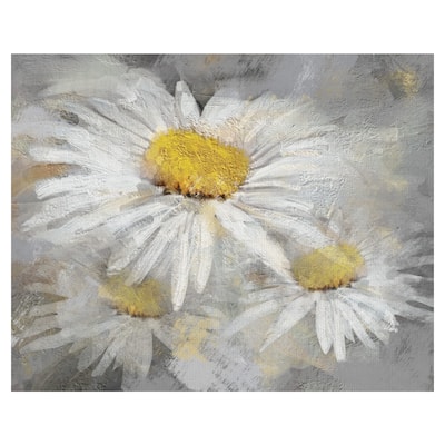 Daisy Portrait by Studio Arts Canvas Art Print
