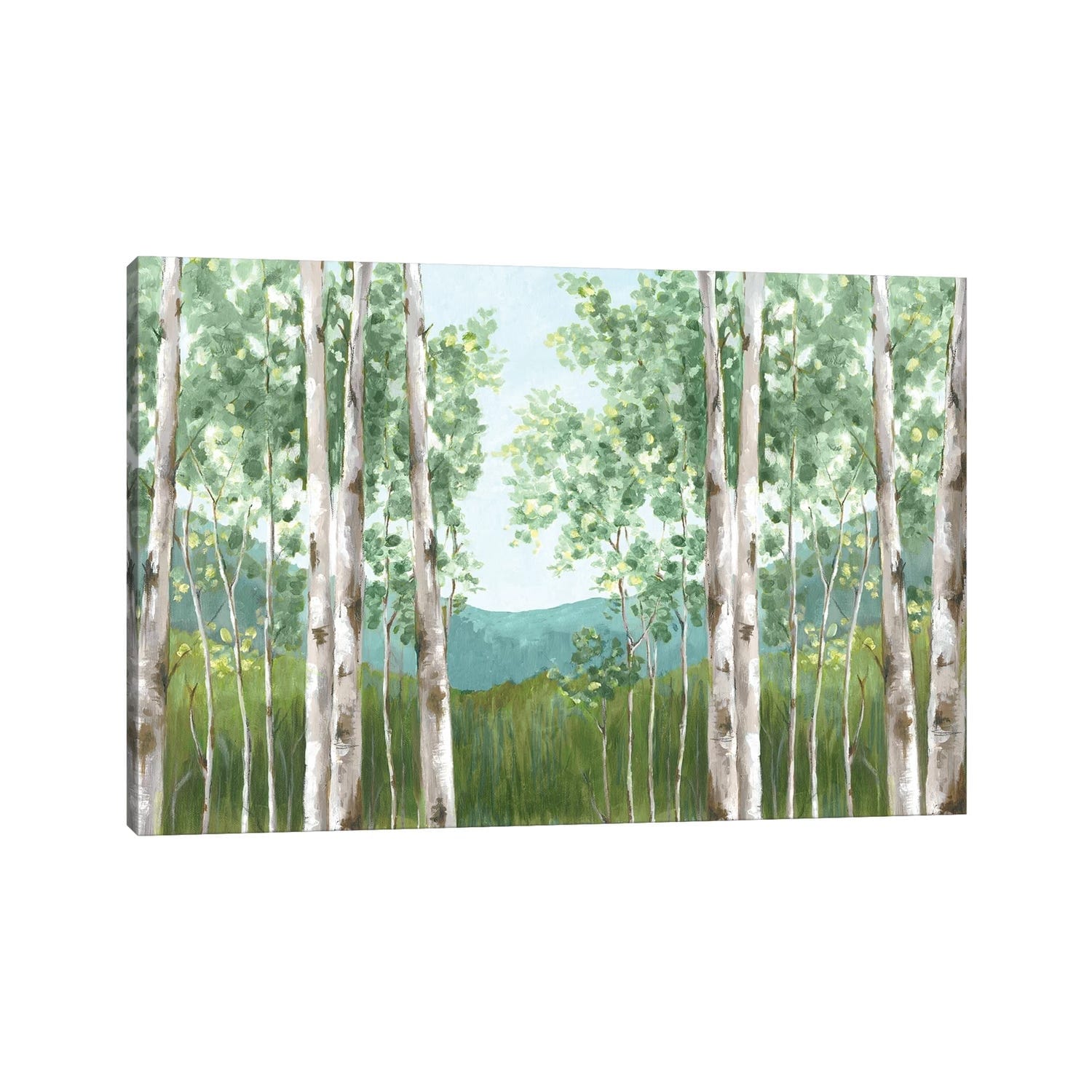 iCanvas "Behind Mountains" by Eva Watts Canvas Print