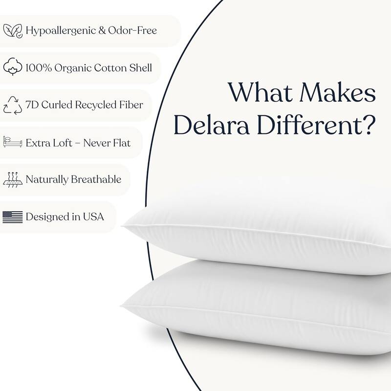 Delara Throw Pillow Inserts Organic Cotton, Down Alternative Fill, Set of 2