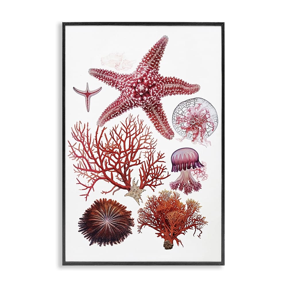 Stupell Rosy Undersea Creatures Framed Giclee Art Design By Ramona Murdock