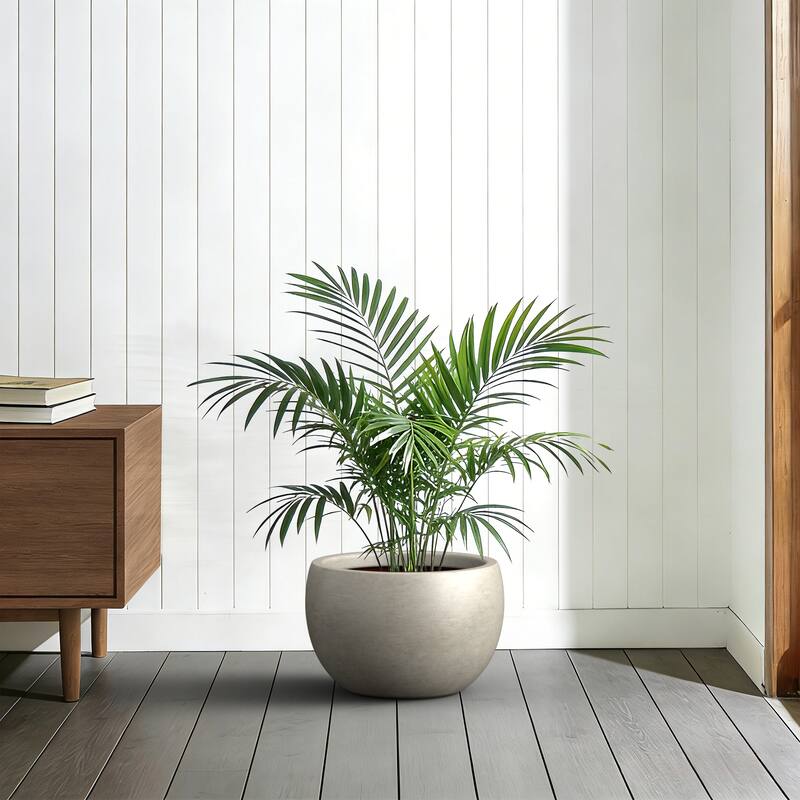 Concrete Round Bowl Planter with Drainage Hole(Upgraded Interior)