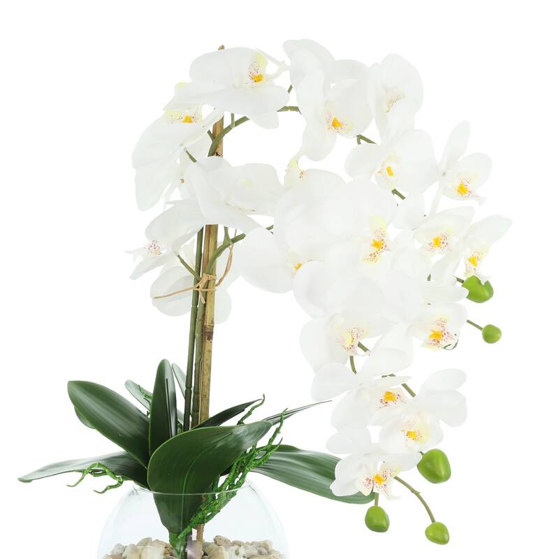 Orchids Arranged in Glass Vase with Rocks - 24