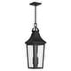 preview thumbnail 2 of 12, Cleary 2-Light Outdoor Pendant with Clear Glass - 24.75 Textured Black