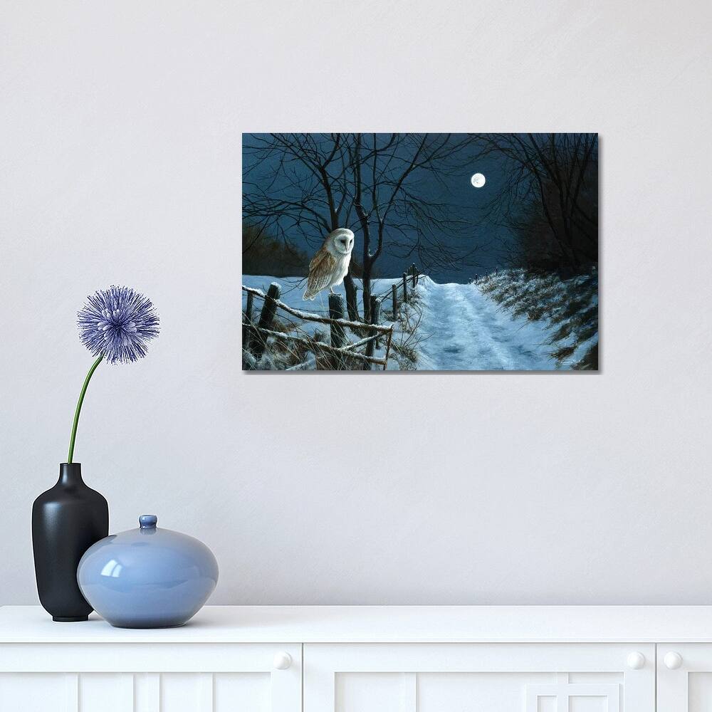 iCanvas "Hunter's Moon - Barn Owl" by Jeremy Paul Canvas Print