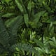 Option Tropical Mix