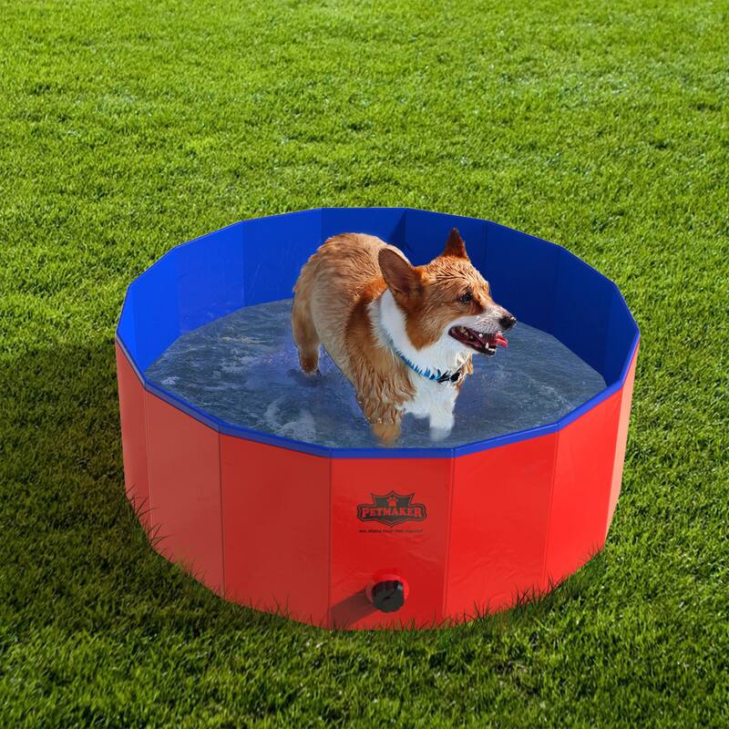 Pet Pal Foldable Pool for Dogs and Kids