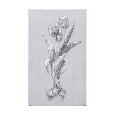 Botanical Sketches I (Grey) (36 x 60) Canvas Art Print