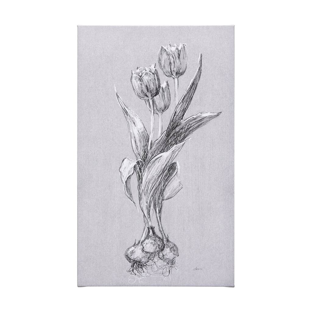 Botanical Sketches I (Grey) (36 x 60) Canvas Art Print