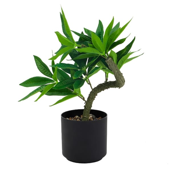 marble queen pothos plant Buy Marble Queen Pothos main image 0