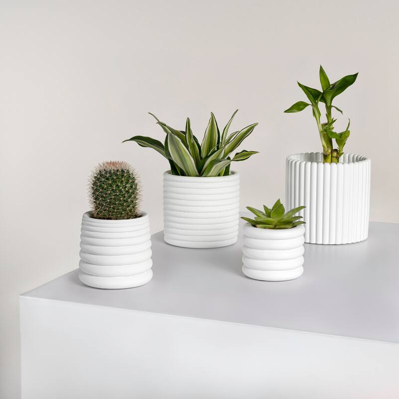 JONATHAN Y Silas Modern Minimalist Handmade Concrete Fluted Sculptural Cylinder Planter Set with Drainage Holes (Set of 4)