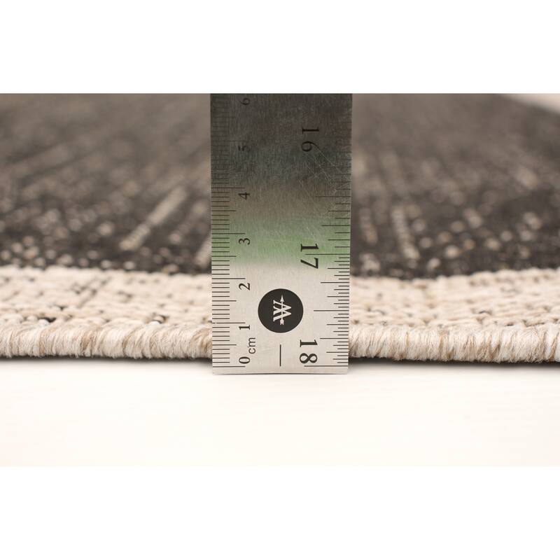 ECARPETGALLERY Sisal Classic Indoor/ Outdoor Rug