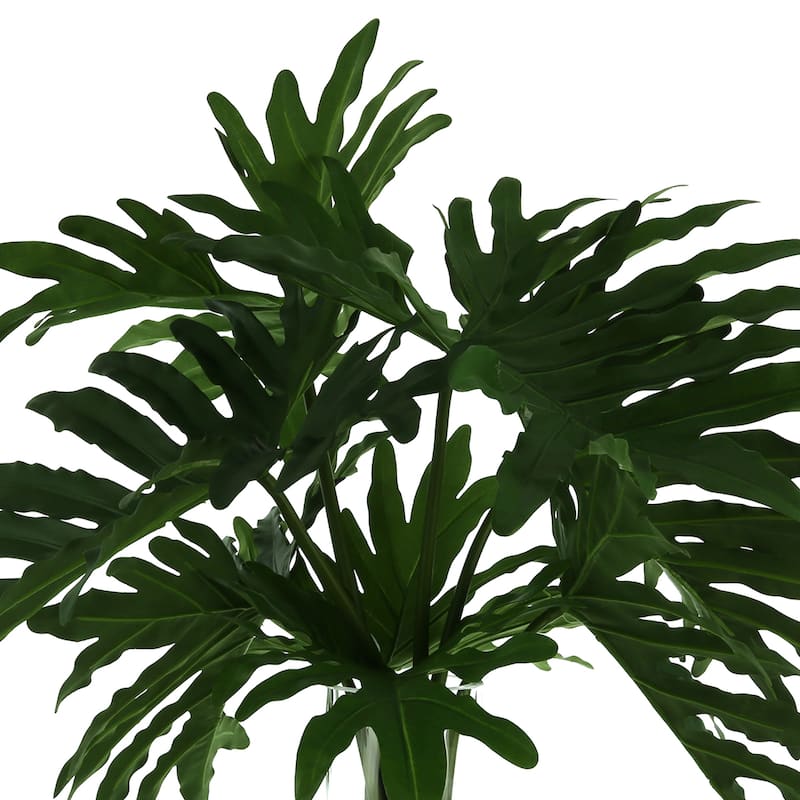 Organic Modern Philodendron Arranged in Glass Vase - Green