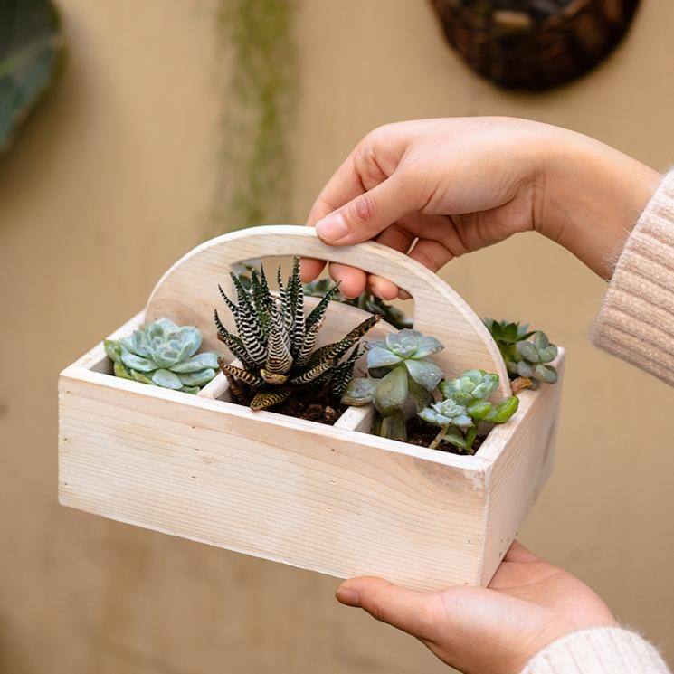 RusticReach Wooden Desktop Organizer Succulent Planter