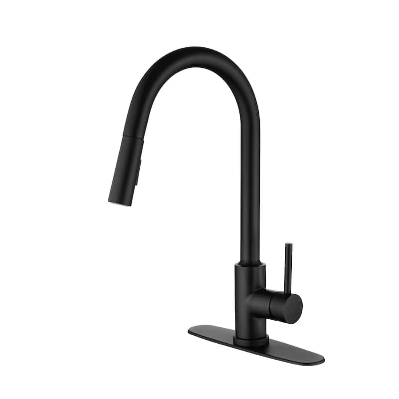 2-Function 1-Handle Pulldown Kitchen Faucet - Matte Black