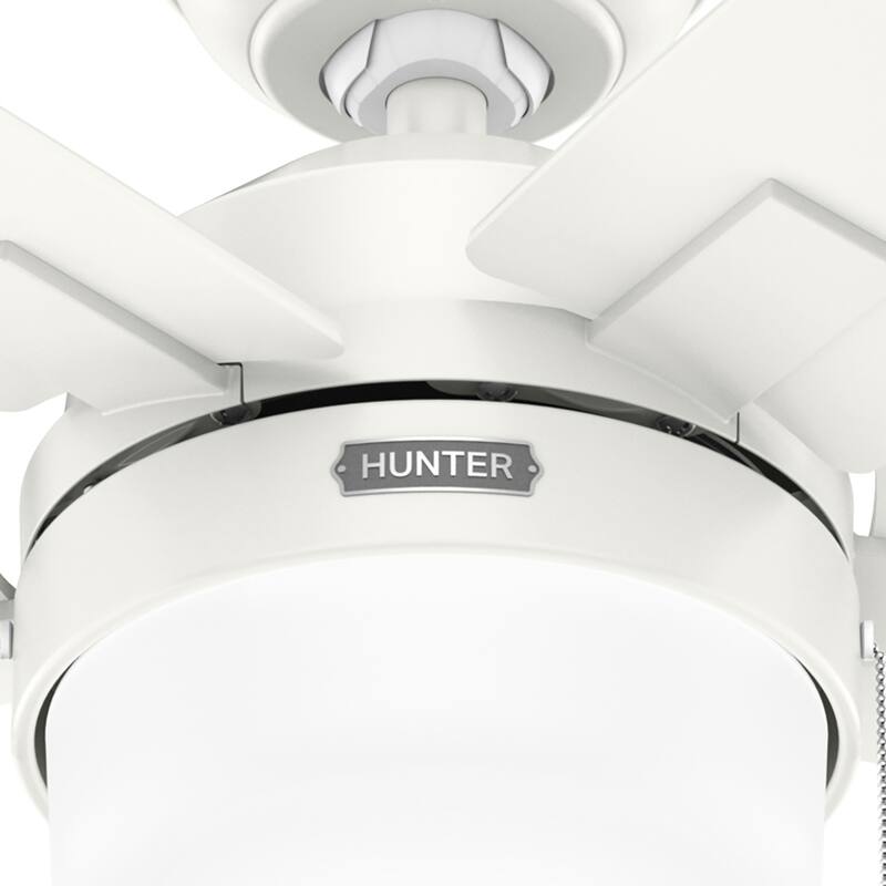 Hunter Anisten Ceiling Fan with LED Light Kit and Pull Chain - Casual Modern Contemporary - ENERGY STAR