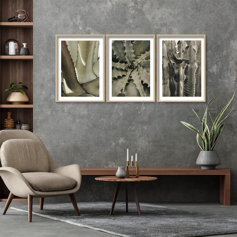 "Succulents" Framed 3-Piece Wall Art Set by 1X