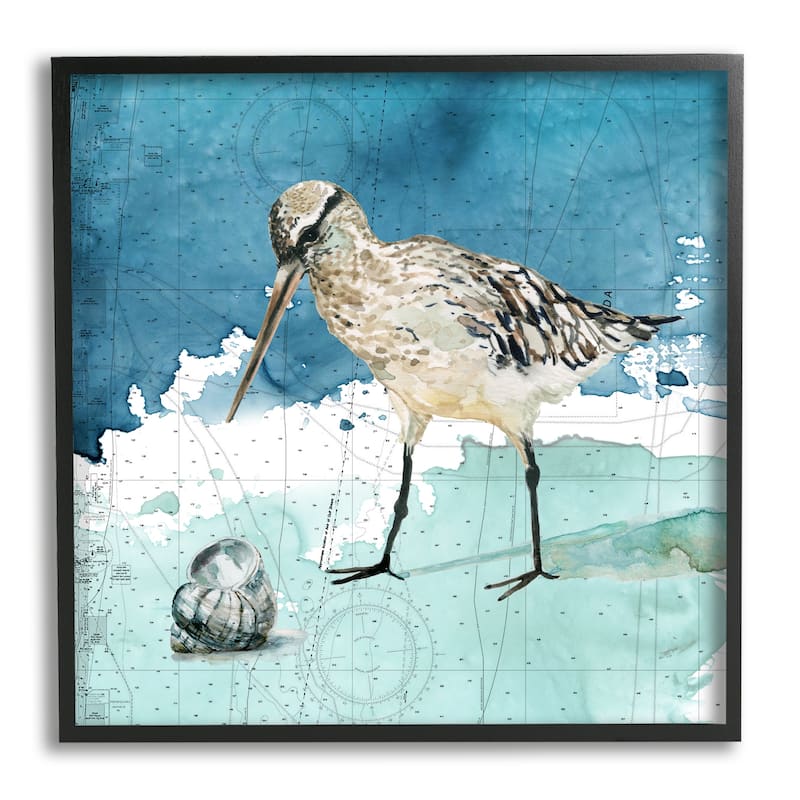 Stupell Beach Bird Round Shell Blue Ocean Coastal Map Framed Wall Art