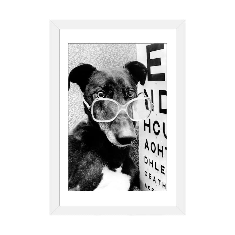 iCanvas "Greyhound Wearing Glasses February 1987" by Rue Des Archives - White - 24x16x1