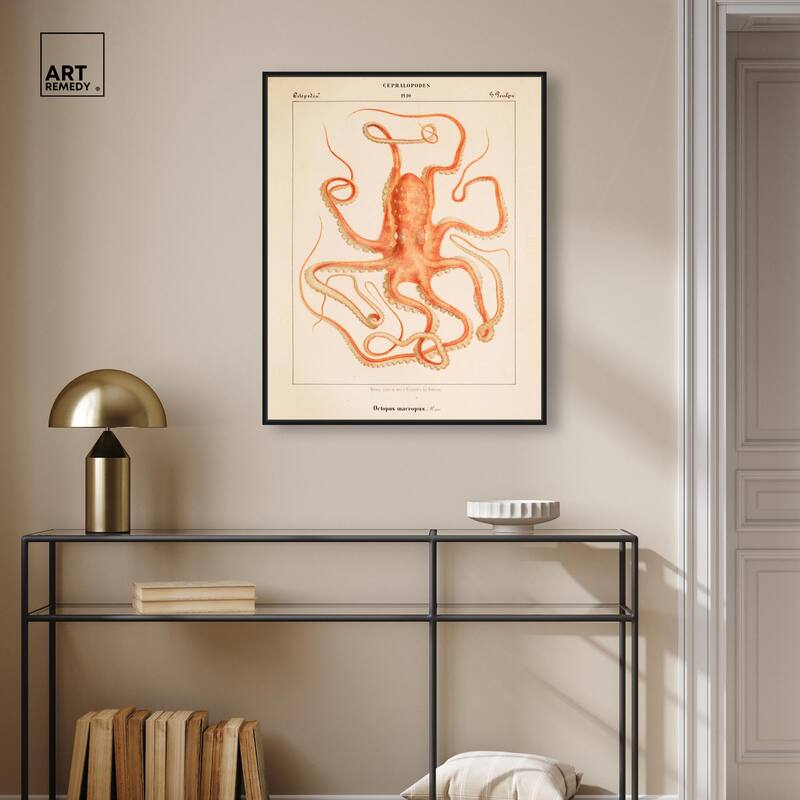 Verany The Octopus 1815 I Canvas by Art Remedy