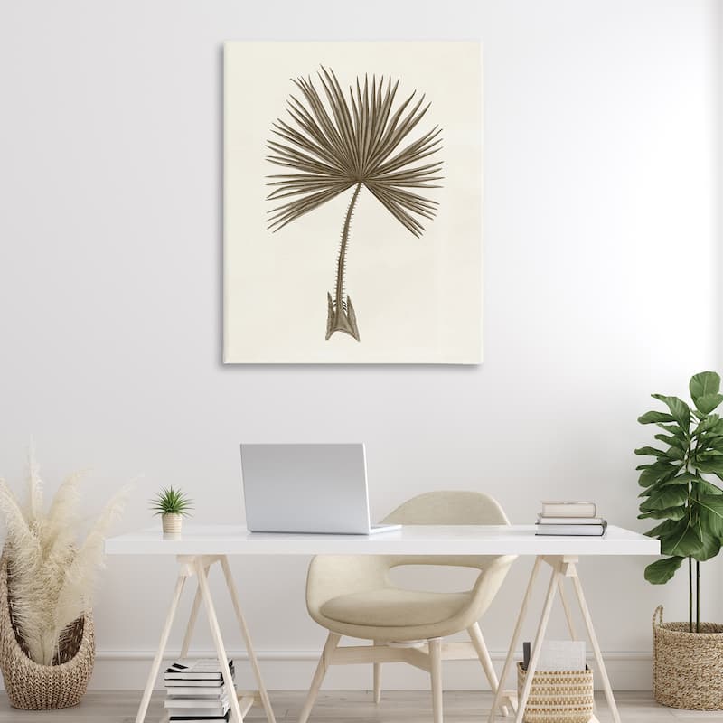 Stupell Vintage Study of Palm Leaf Canvas Wall Art Design By Phillipa Katz