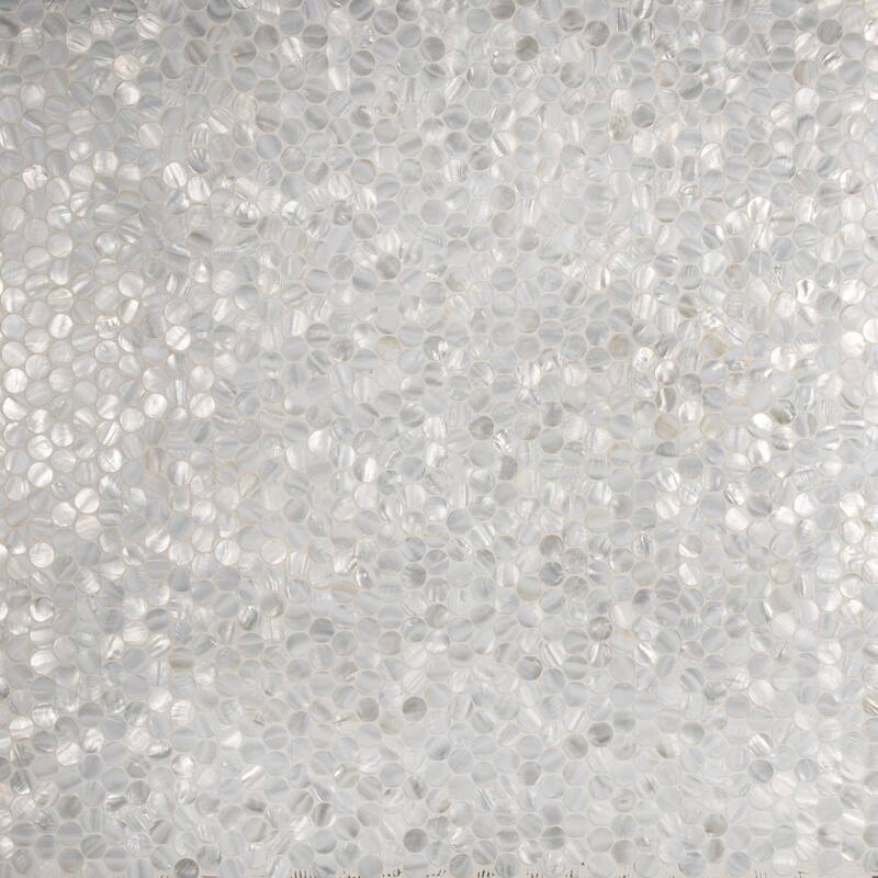 Merola Tile Conchella Penny White 11-1/4" x 11-5/8" Natural Shell Wall Tile