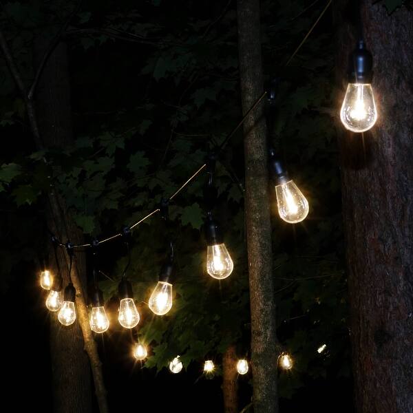 Shop Sunnydaze Indoor Outdoor Led String Lights Edison Bulbs