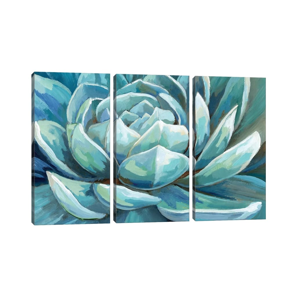 iCanvas "Cerulean Succulent" by Nan 3-Piece Canvas Wall Art Set