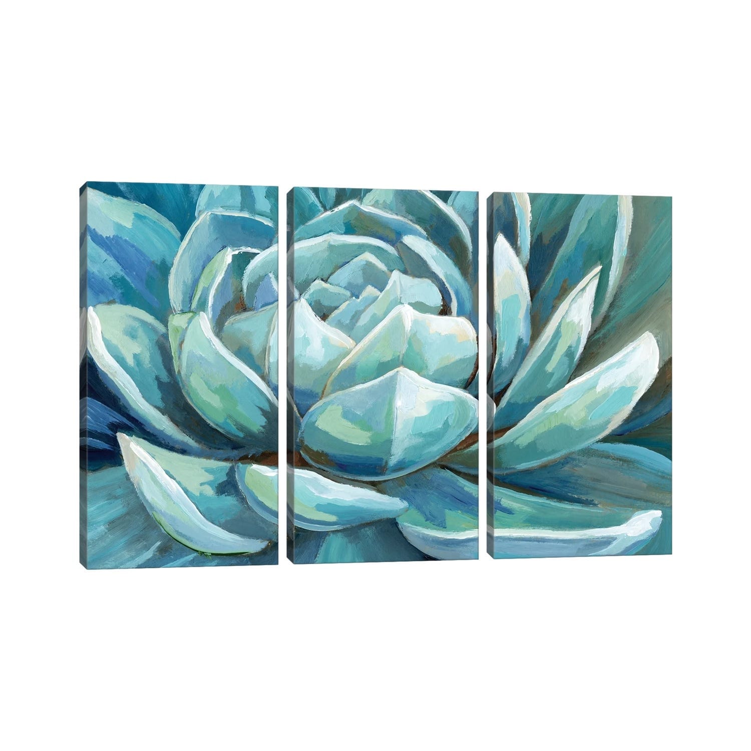 iCanvas "Cerulean Succulent" by Nan 3-Piece Canvas Wall Art Set