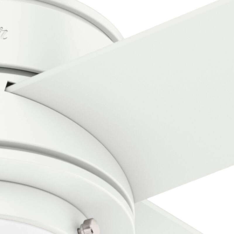 Hunter 52" Hepburn Ceiling Fan with LED Light Kit and Wall Control - Vintage, Mid-Century Modern, Transitional