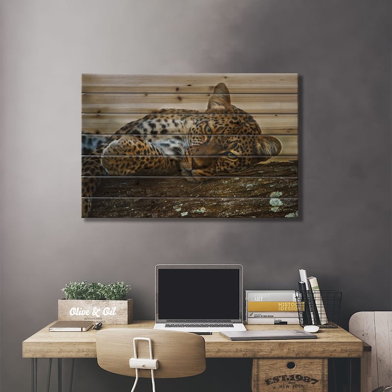 Lounging Leopard, Ngorongoro Conservation Area, Crater Highlands, Arusha Region, Tanzania Print On Wood by Panoramic Images
