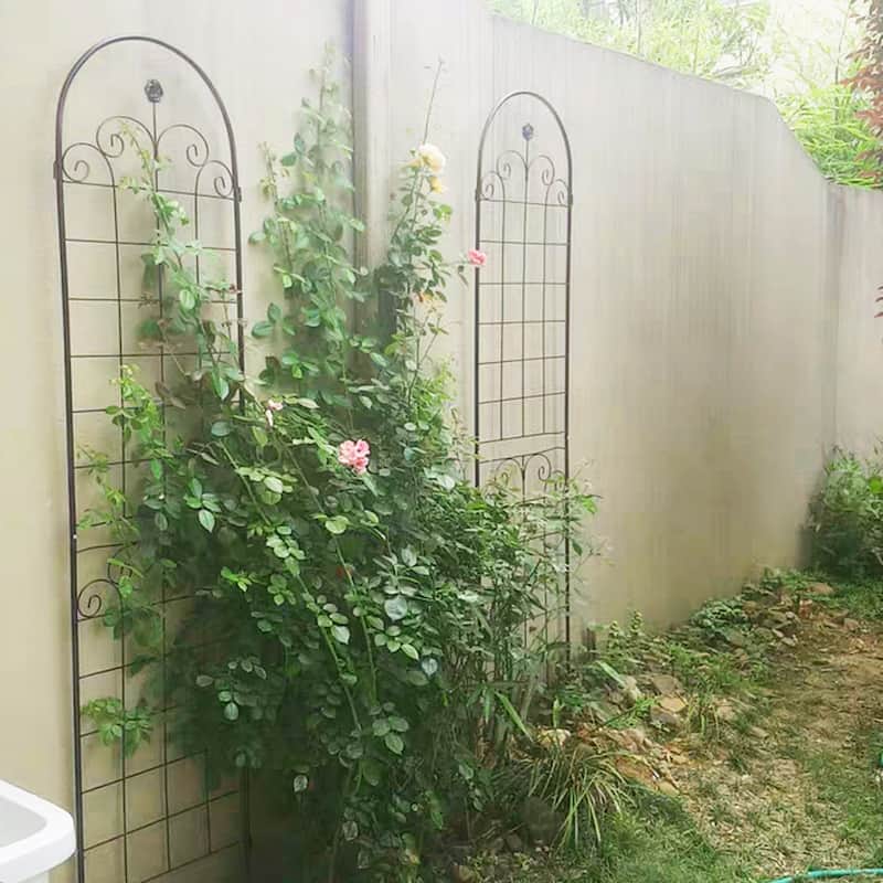 4 Pack Metal Garden Trellis for Outdoor