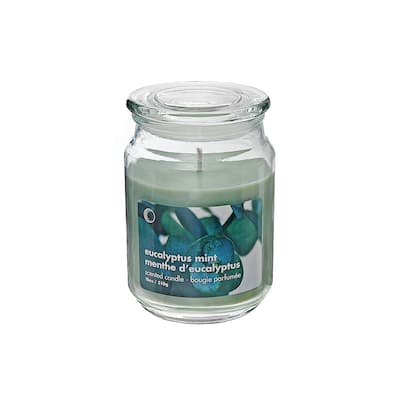 18 Oz Scented Jar With Glass Lid Eucalyptus Mint - Set of 2