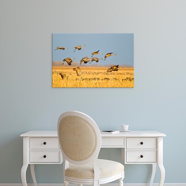 Easy Art Prints Chuck Haney's 'Sandhill Cranes Land In Corn Fields' Premium Canvas Art