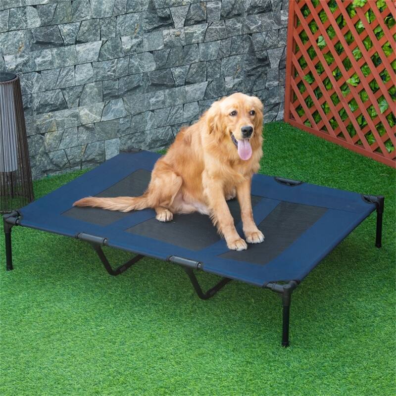 Elevated Pet Bed with Lightweight Steel Frame and Non-Skid Rubber Feet - 48" L x 36.25" W x 9" H