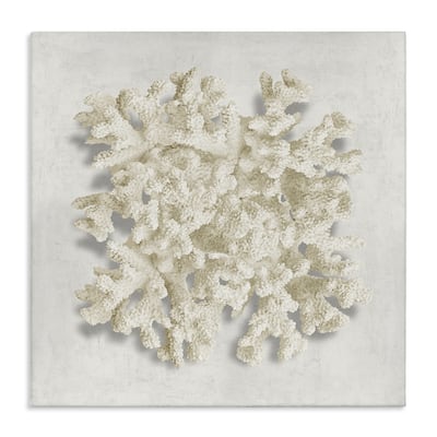 Stupell Aquatic Neutral Coral Canvas Wall Art Design By Caroline Kelly