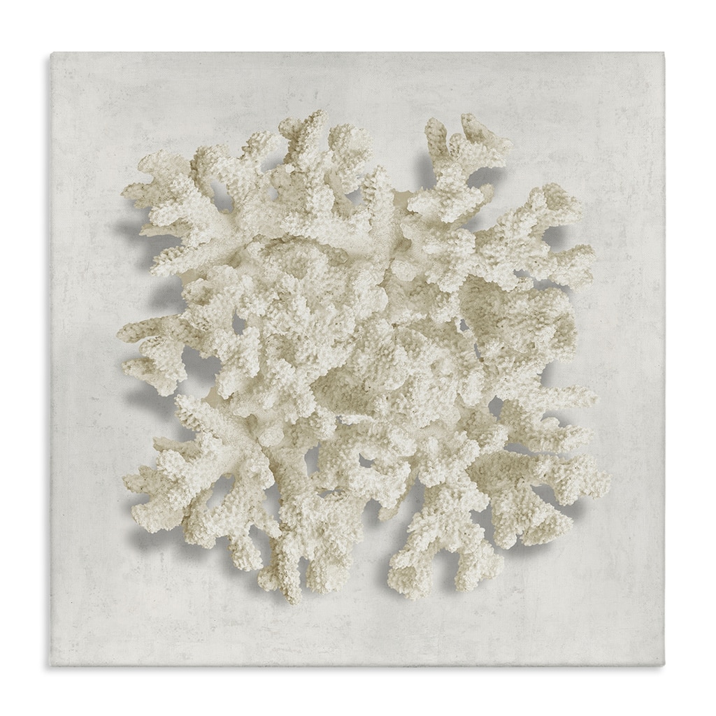 Stupell Aquatic Neutral Coral Canvas Wall Art Design By Caroline Kelly