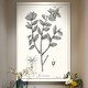 preview thumbnail 6 of 8, Antique Black & White Botanical-Premium Gallery Wrapped Canvas