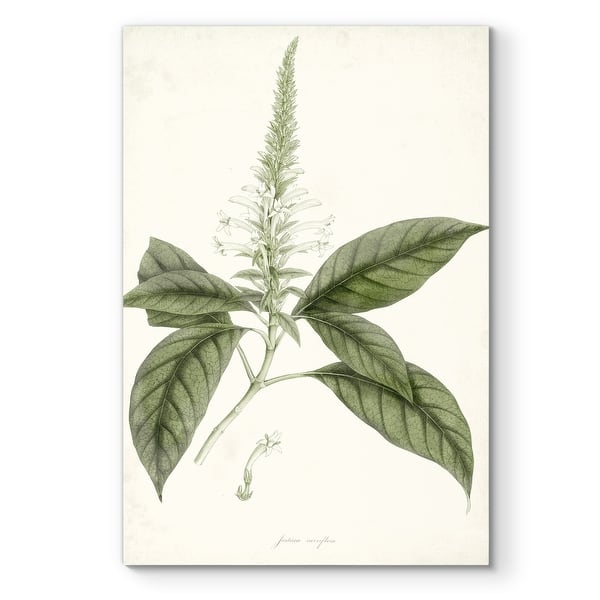 slide 2 of 10, Sage Botanical II -Premium Gallery Wrapped Canvas