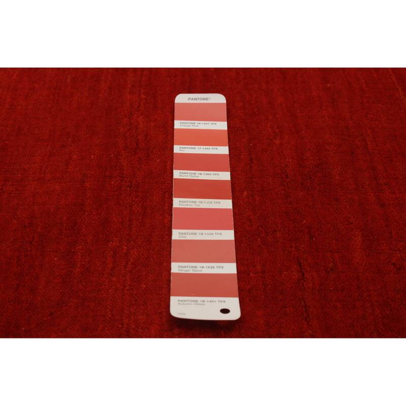 Kashkuli Gabbeh Red Rug 3'10" x 5'10" - 3'10 x 5'10