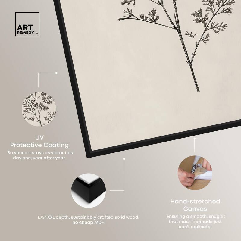 Aniseed Anatomy II Canvas Delicate Floral by Art Remedy