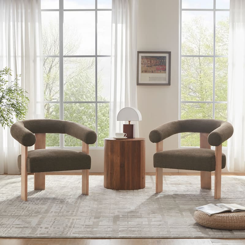 Accent Chair Living Room Chair with Solid Wood Frame