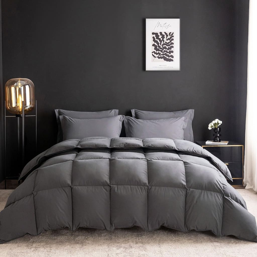 Goose Feather Down Comforter Queen Size,Hotel Bedding Comforter,750+ Fill Power, All Season Duvet Insert with 8 Corner Tabs