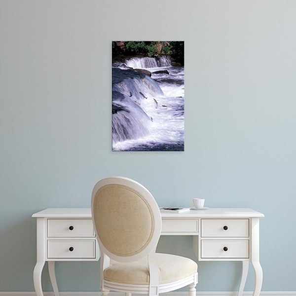 Easy Art Prints Gavriel Jecan's 'Salmon Leap Over Waterfalls' Premium Canvas Art