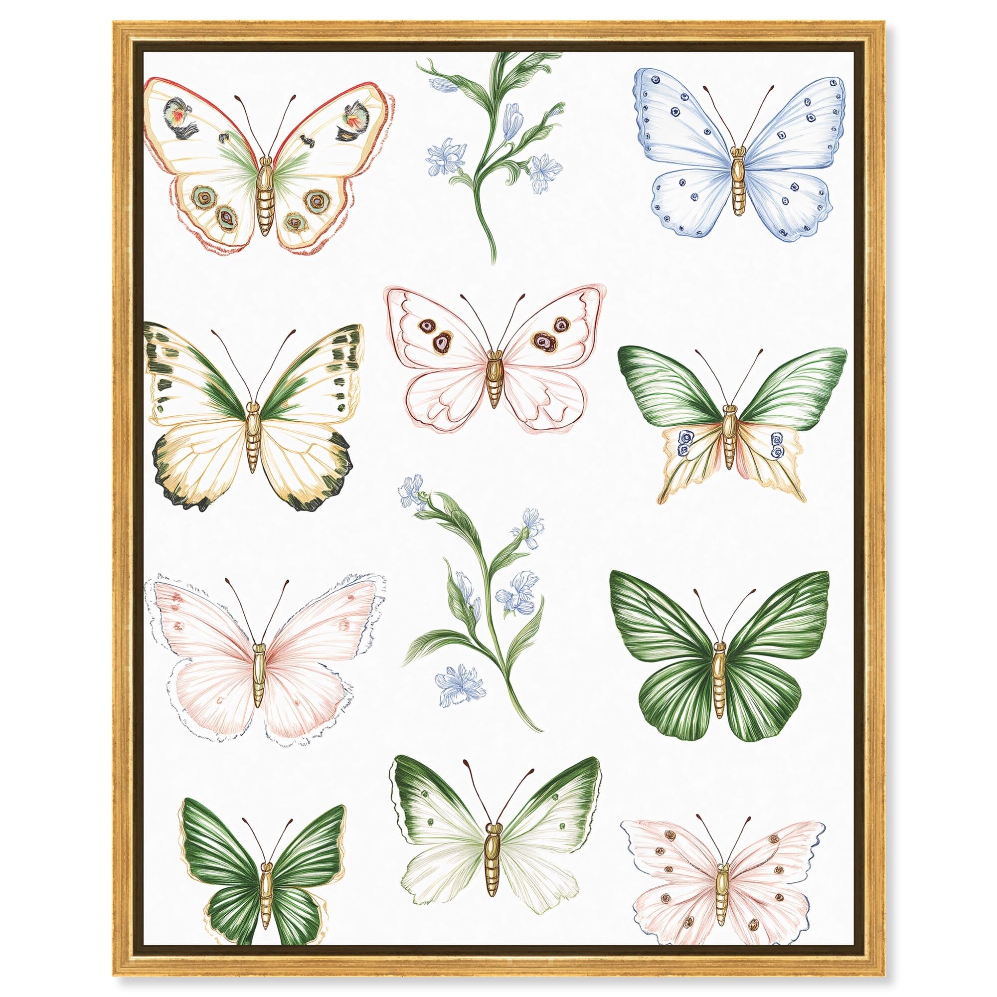 Butterfly Collection Floral Art Framed Canvas Print by Art Remedy