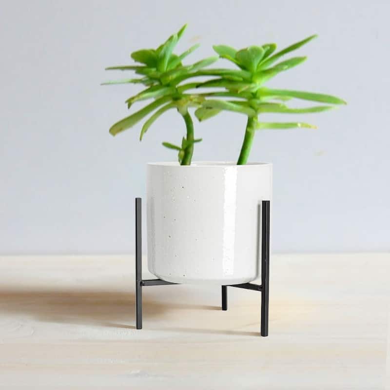 White Stoneware Flower Pot with Black Metal Stand