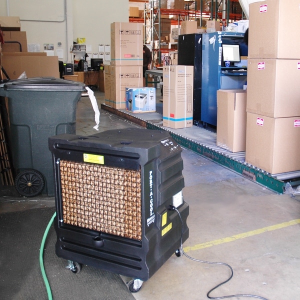 cooler price below 2000