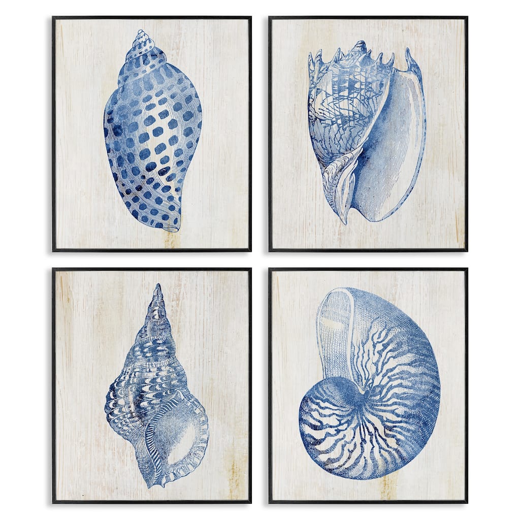 Stupell Blue Seashells on Beige Framed Giclee Art Design By Susan Arnot (Set of 4)