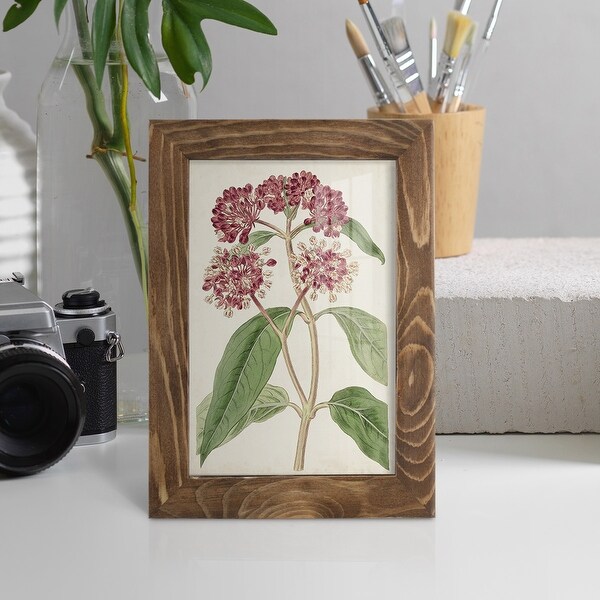 Antique Botanical Collection XI -Framed Print w/glass-Cherry