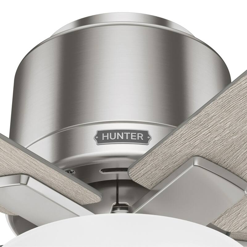 Hunter 44" Fitzgerald Low Profile Ceiling Fan with LED Light Kit and Pull Chain
