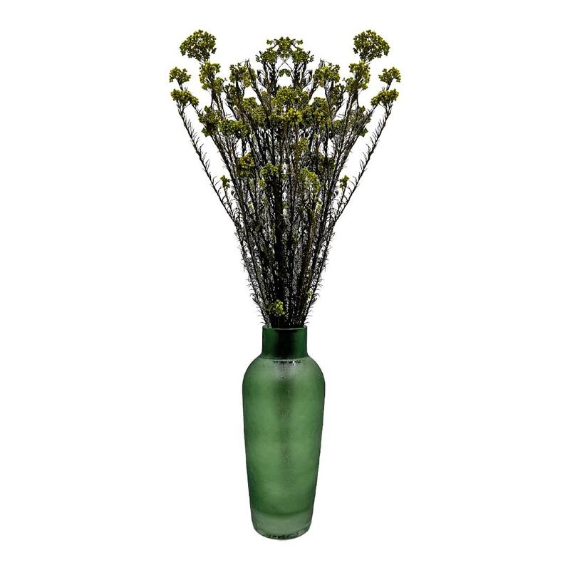 Bundle of 4 Preserved Millet ,Rice Flower - Immortelle Flower,Ozothamnu - 24 inches - Yellow Green
